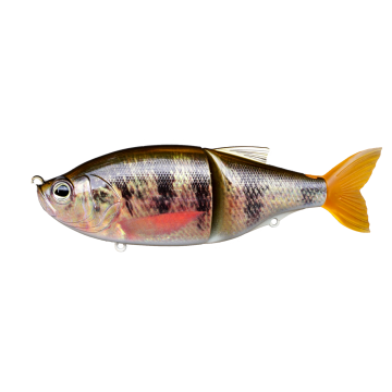 CT02 REAL PERCH