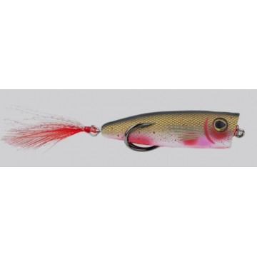 BLOODY SHAD