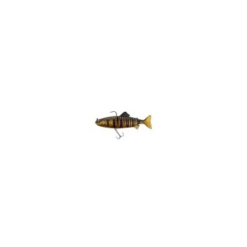 GOLDEN PERCH