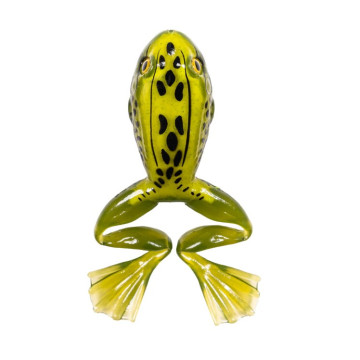 MOSS YELLOW