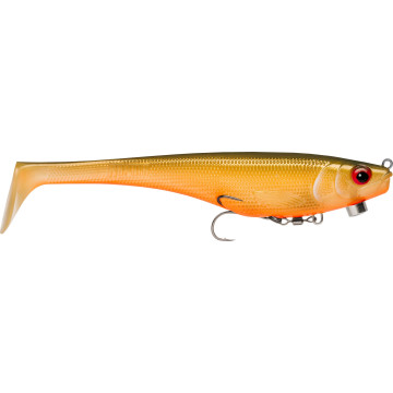 SCALED ROACH