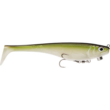 MINNOW