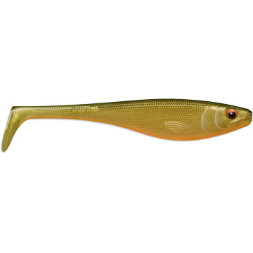 SCALED ROACH