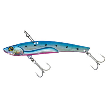 HS SARDINE