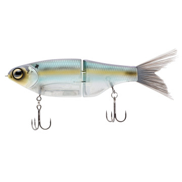 GIZZARD SHAD