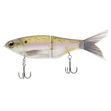 THREADFIN