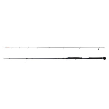 Canne Savage gear defiance SG2