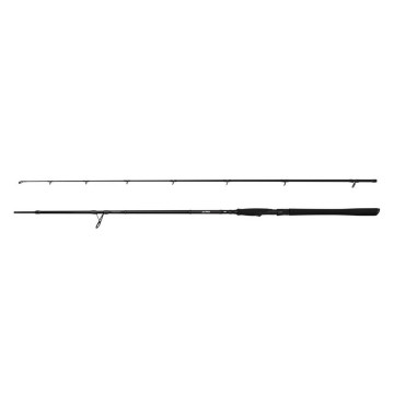 SPINNING BIG BAIT 2M21 35-100GR
