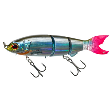 ROACH TENDANCE