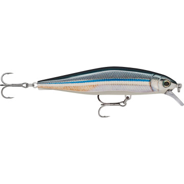 ANCHOVY