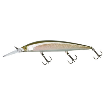 SECRET SAND EEL