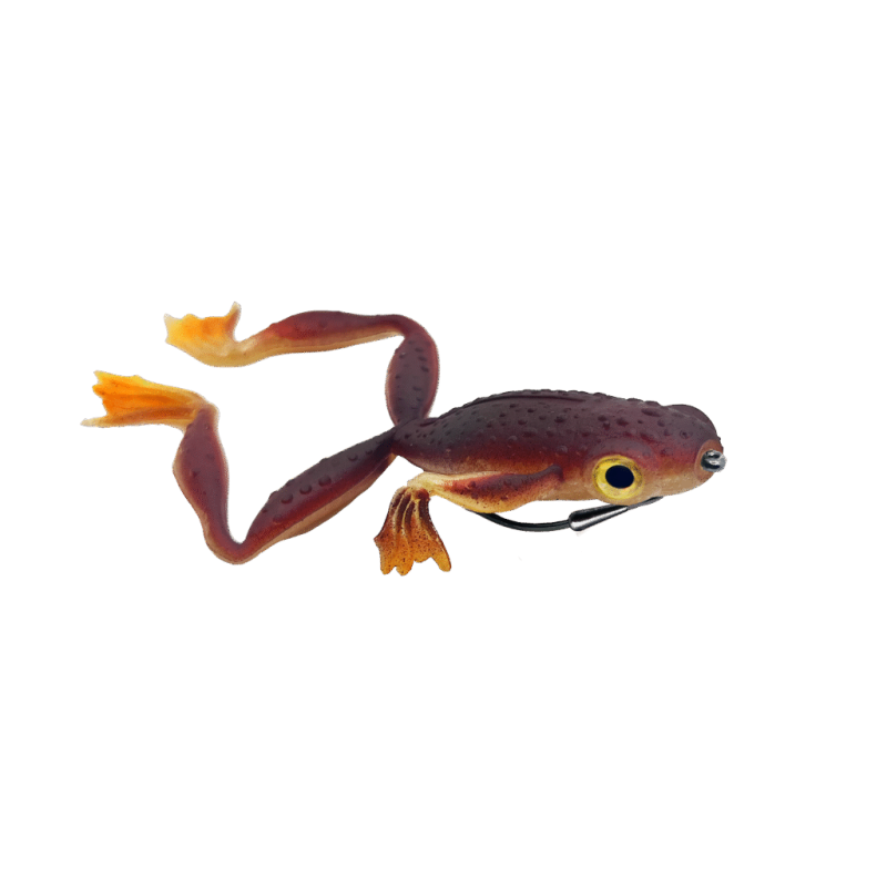 grenouille Delalande froggy