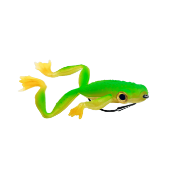 grenouille Delalande froggy