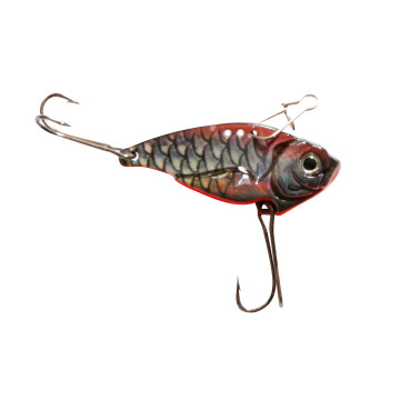 ROACH