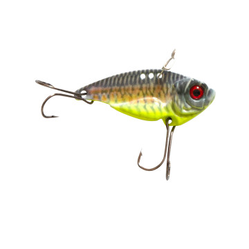 YELLOW ROACH