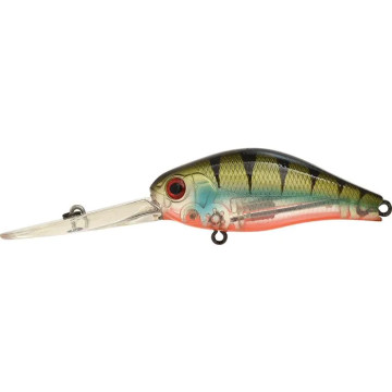 PERCH OB