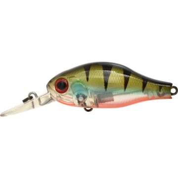 PERCH OB UV