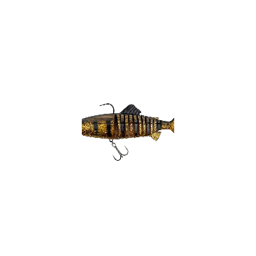 GOLDEN PERCH
