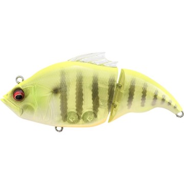 CHART GILL