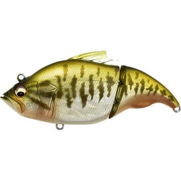 GG BASS
