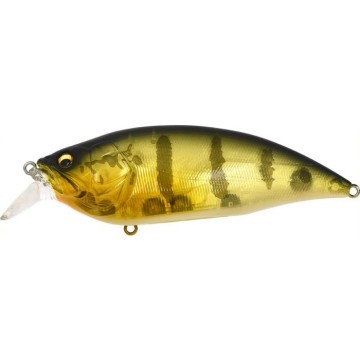 PRO PERCH