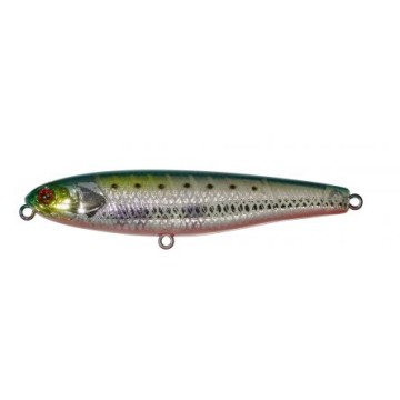 SARDINE RED BELLY