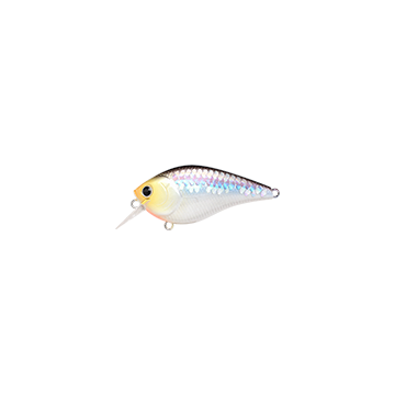 IMPULSE SHAD