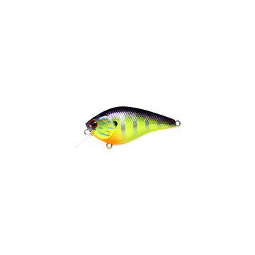 PURPLE CHART GILL