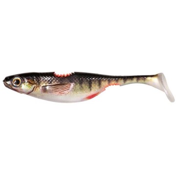 BARSCHI