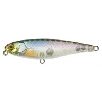 GHOST MINNOW