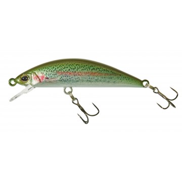 RT RAINBOW TROUT