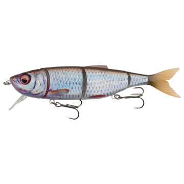 ROACH