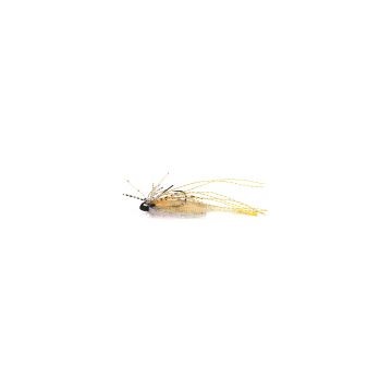 2.7GR J027 PINK SHRIMP